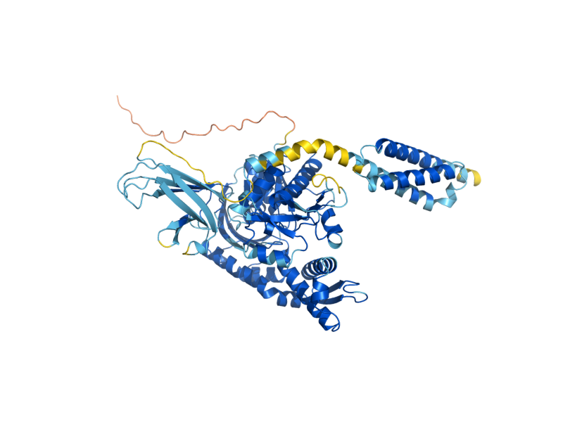 AlphaFold predicted structure of SSQ1