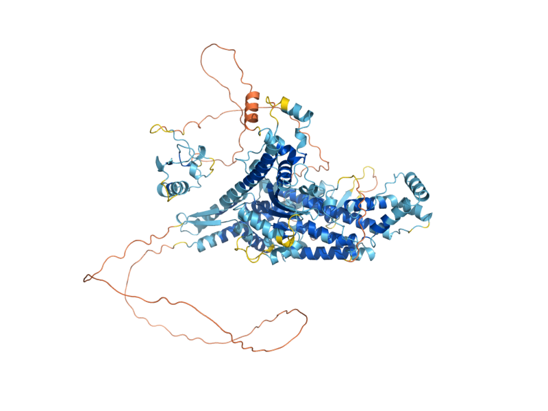 AlphaFold predicted structure of VID22