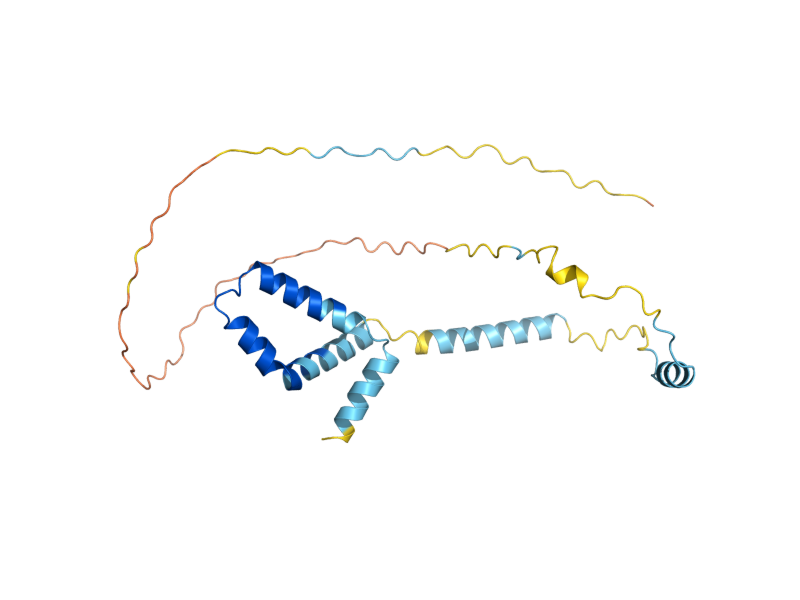 AlphaFold predicted structure of RSA3