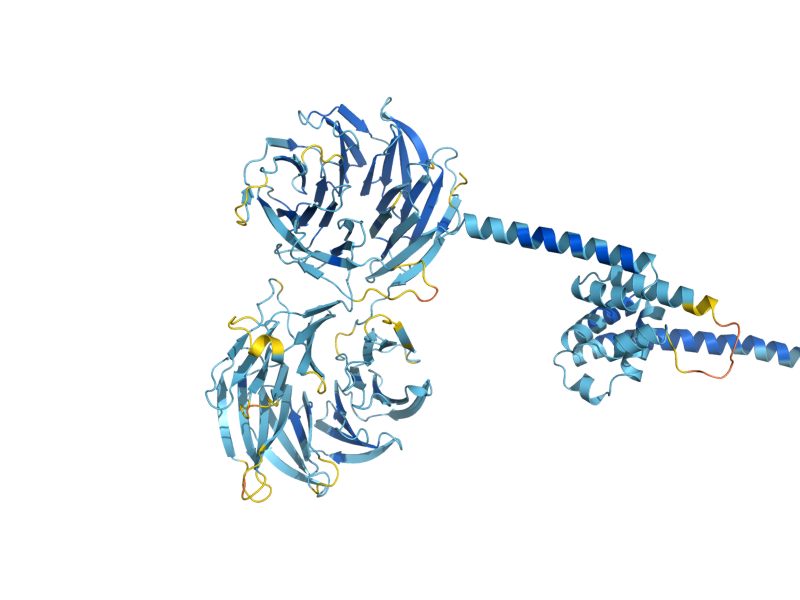 AlphaFold predicted structure of UTP13