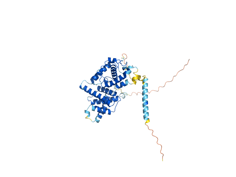 AlphaFold predicted structure of BUR2
