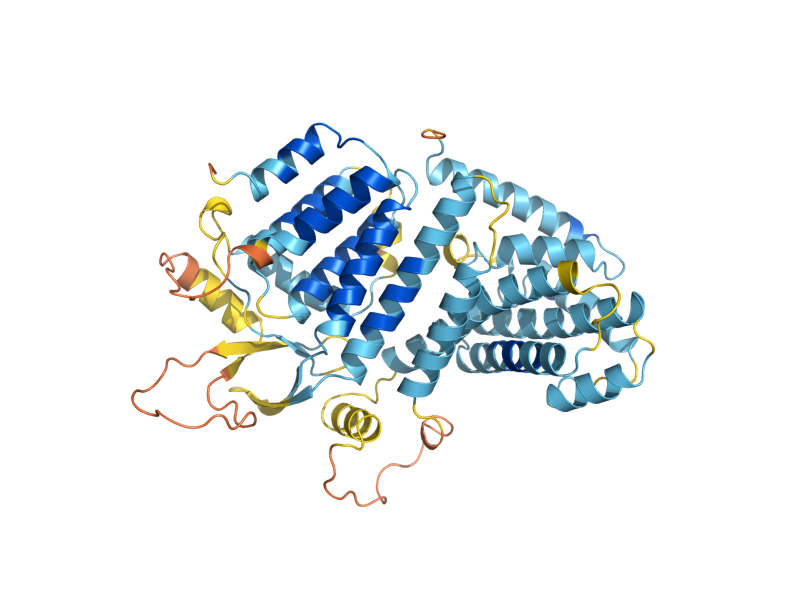 AlphaFold predicted structure of ADY4