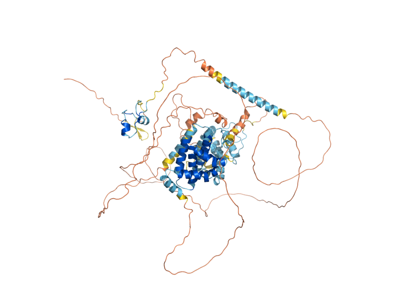 AlphaFold predicted structure of ECM22