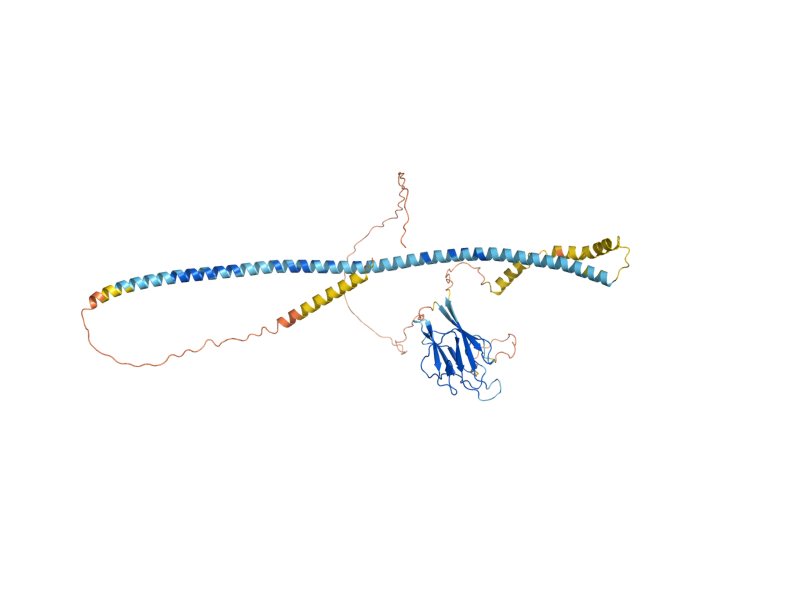 AlphaFold predicted structure of FAR10