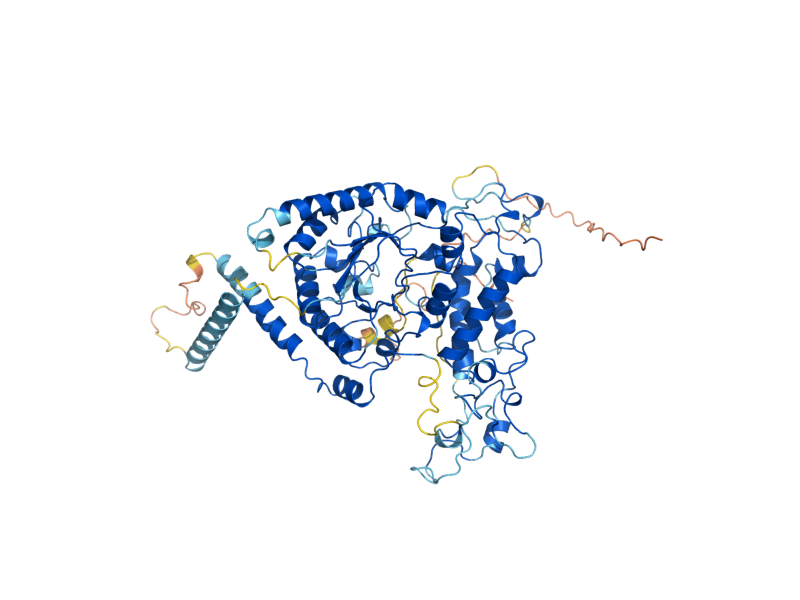 AlphaFold predicted structure of DUS3