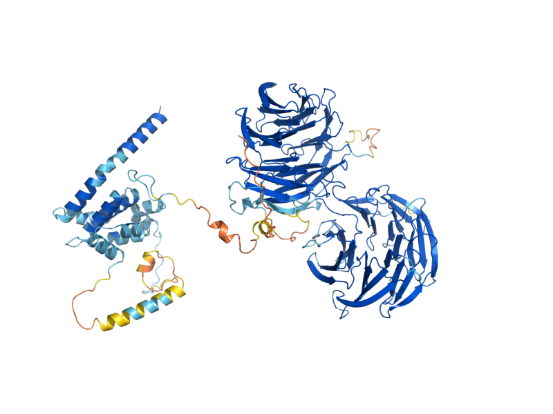 AlphaFold predicted structure of UTP21