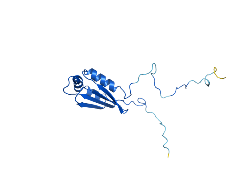 AlphaFold predicted structure of MRPL51