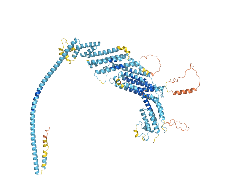 AlphaFold predicted structure of COG4