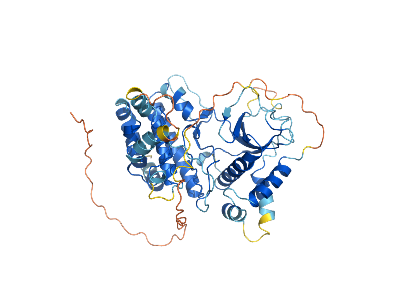 AlphaFold predicted structure of ISR1