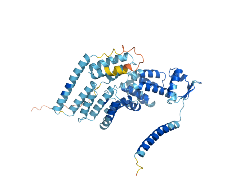AlphaFold predicted structure of RPN7