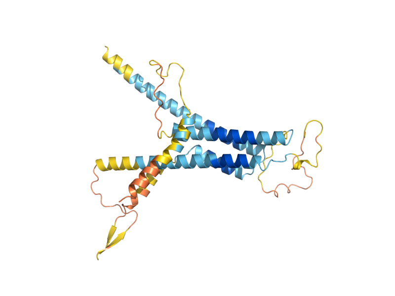 AlphaFold predicted structure of GLD1