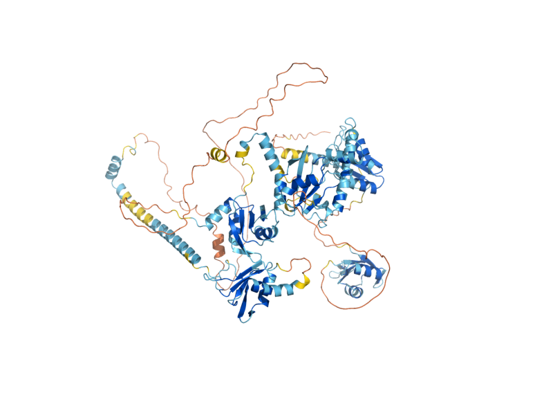 AlphaFold predicted structure of MRD1