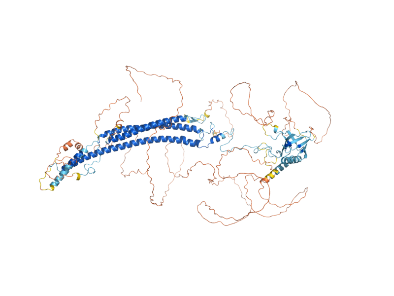 AlphaFold predicted structure of RGC1