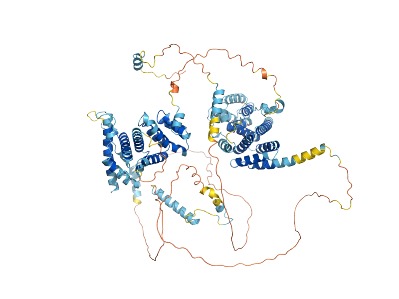 AlphaFold predicted structure of SGD1