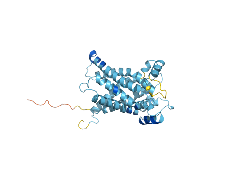 AlphaFold predicted structure of DIC1