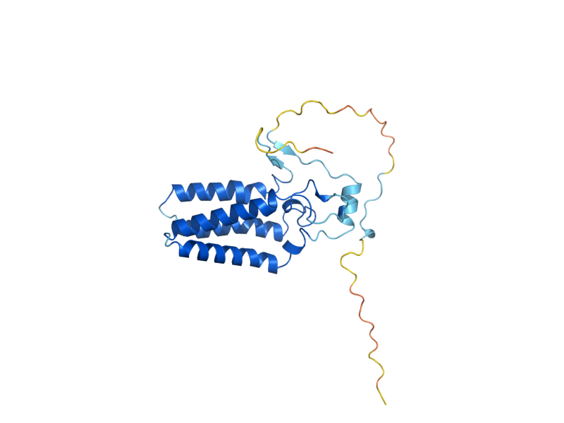 AlphaFold predicted structure of ORM2
