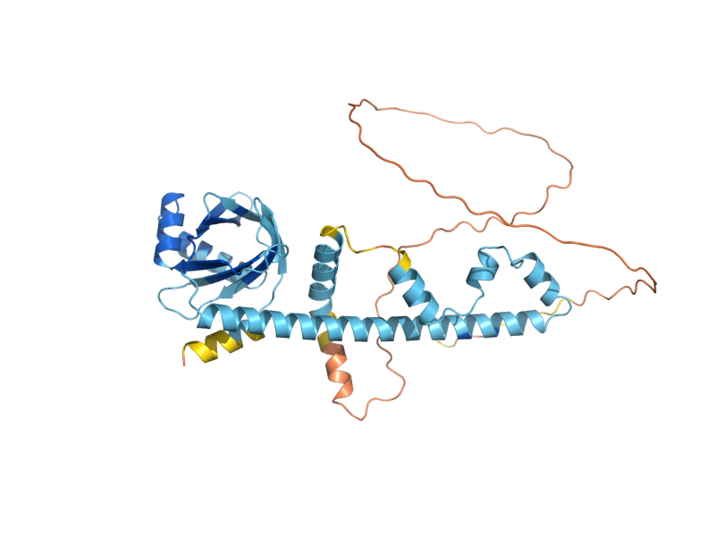 AlphaFold predicted structure of NEJ1
