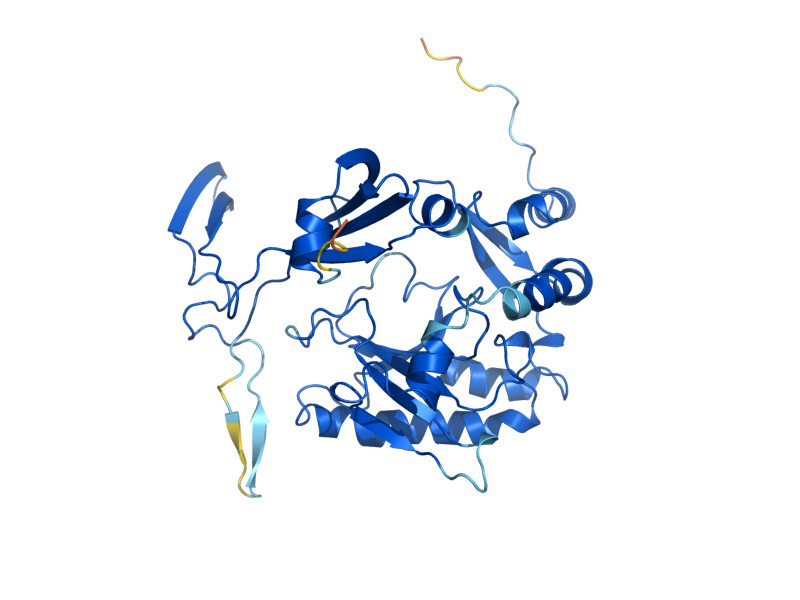 AlphaFold predicted structure of DCS1