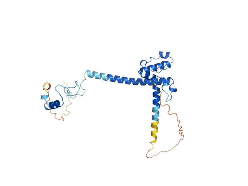 AlphaFold predicted structure of CMG1