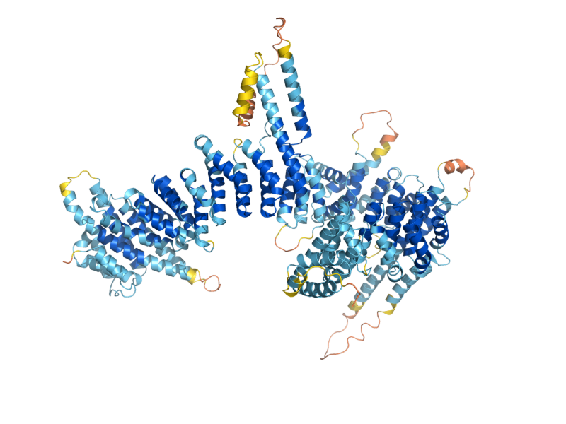 AlphaFold predicted structure of YCS4