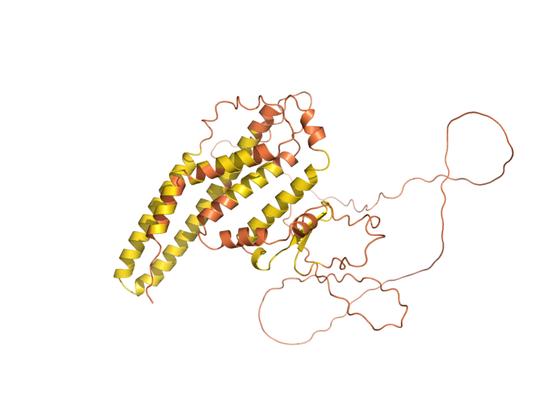 AlphaFold predicted structure of ATG39