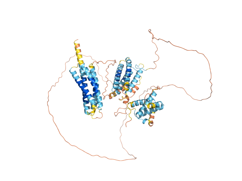 AlphaFold predicted structure of SPH1
