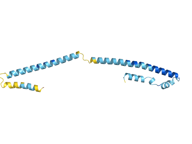 AlphaFold predicted structure of NKP2