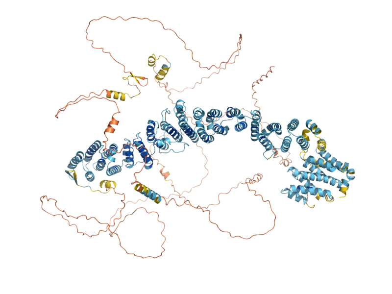 AlphaFold predicted structure of MMS22
