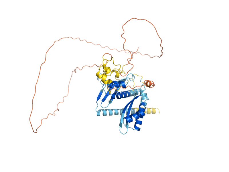 AlphaFold predicted structure of SFH1