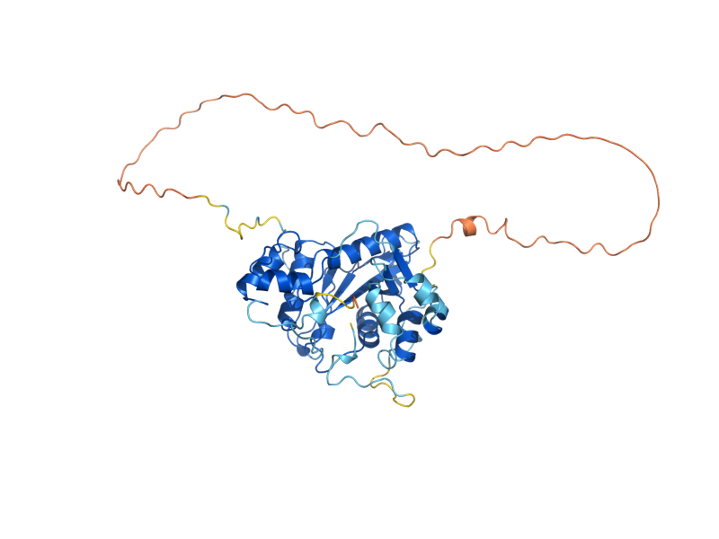 AlphaFold predicted structure of NMA1