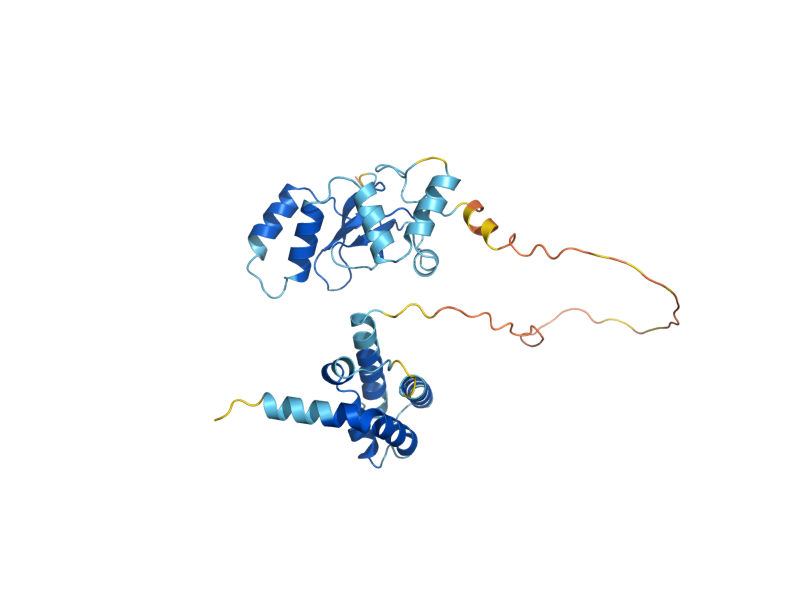 AlphaFold predicted structure of PDP3