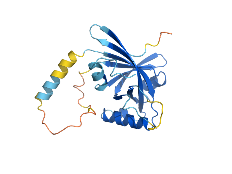 AlphaFold predicted structure of YLR456W