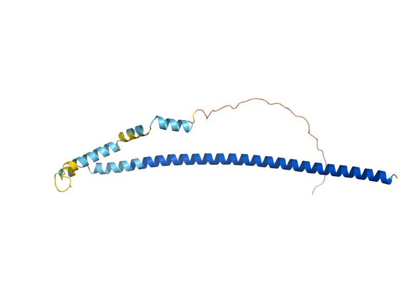 AlphaFold predicted structure of GMC2