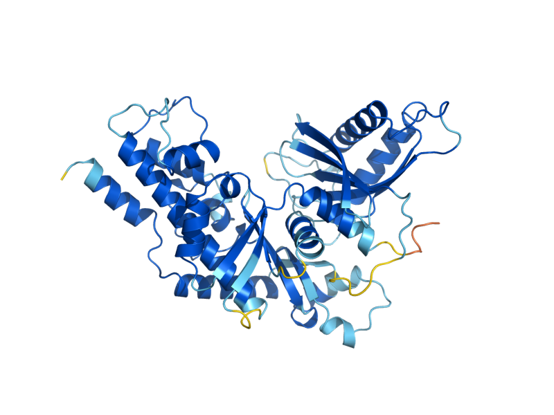 AlphaFold predicted structure of NGK1
