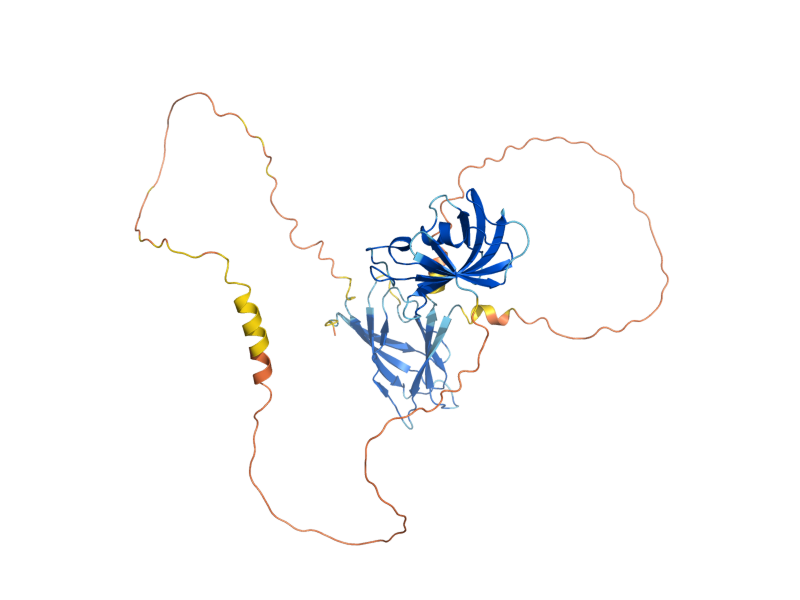 AlphaFold predicted structure of FPR4