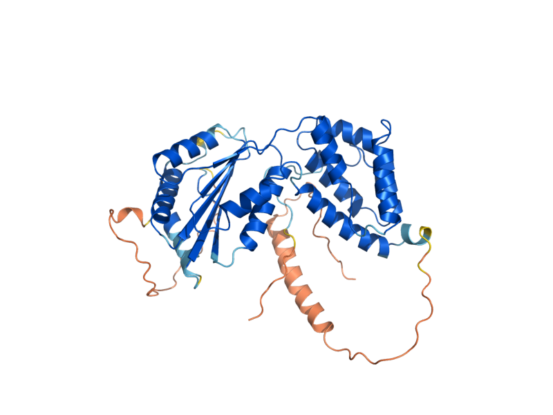 AlphaFold predicted structure of RIF2