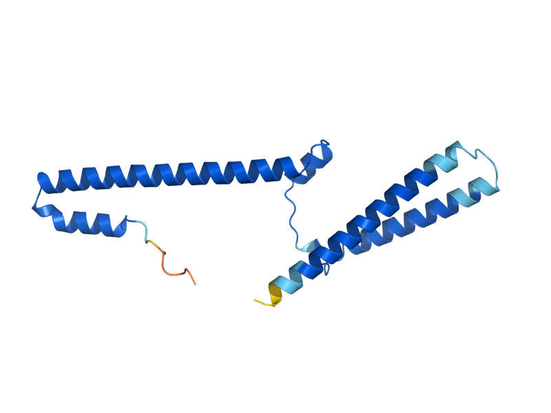 AlphaFold predicted structure of NUT2