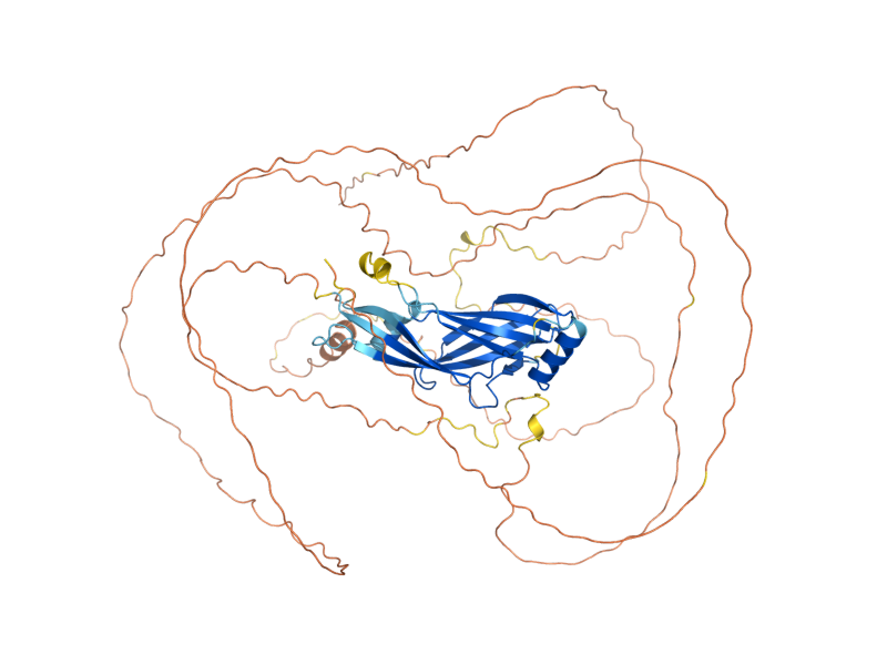 AlphaFold predicted structure of PIG1