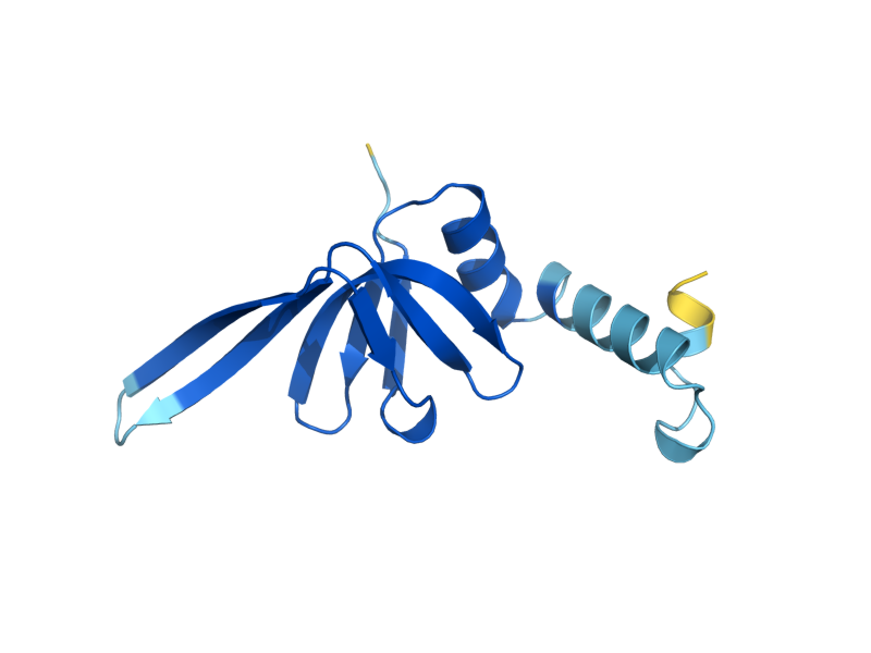 AlphaFold predicted structure of SMD2