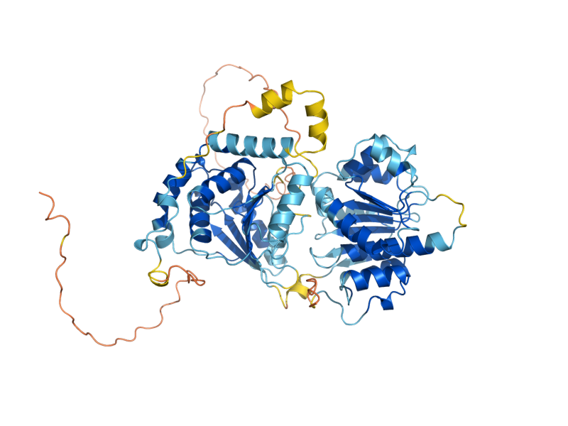 AlphaFold predicted structure of DBP9