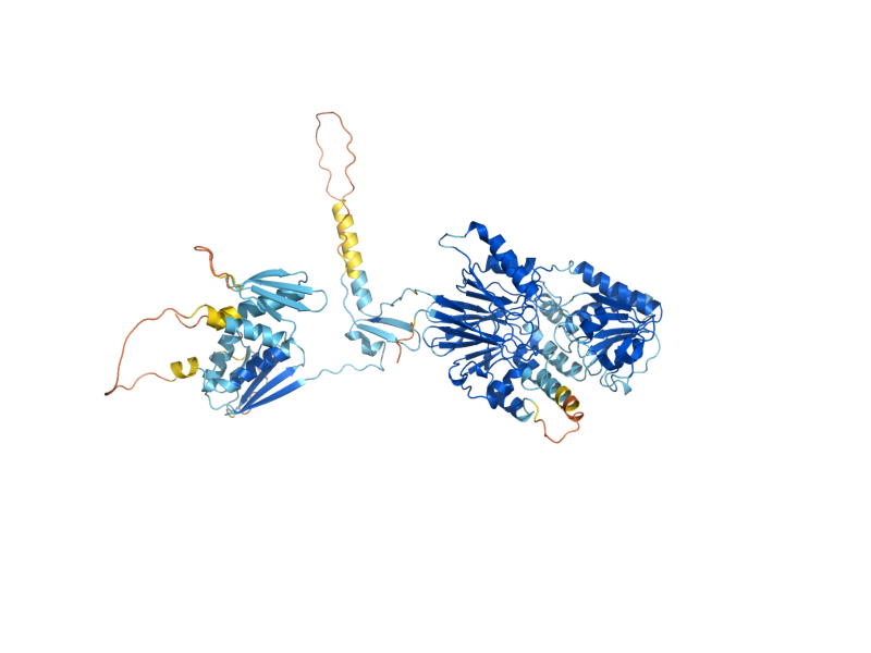 AlphaFold predicted structure of YSH1
