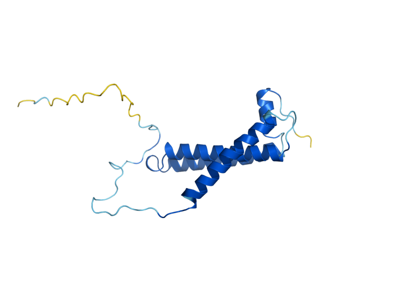 AlphaFold predicted structure of SHH4