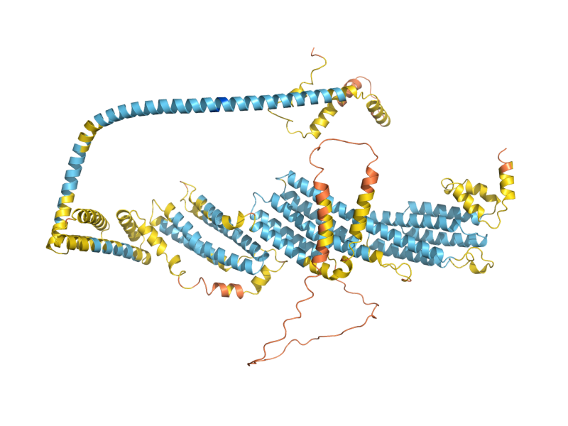 AlphaFold predicted structure of SEC10