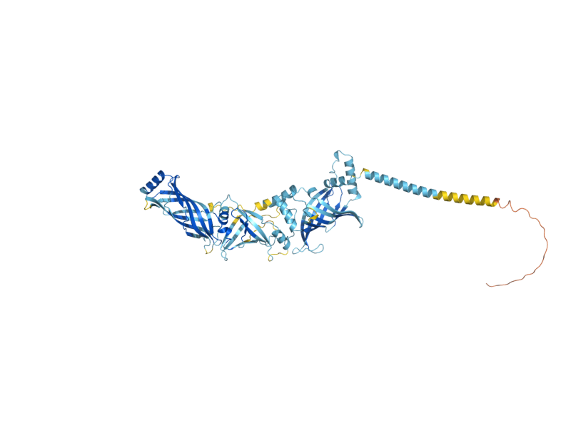 AlphaFold predicted structure of TAG1