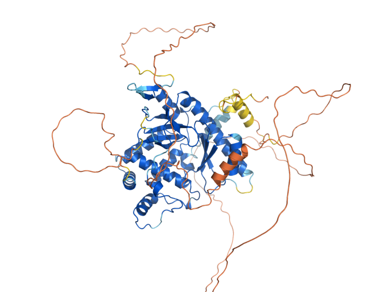 AlphaFold predicted structure of YLR177W
