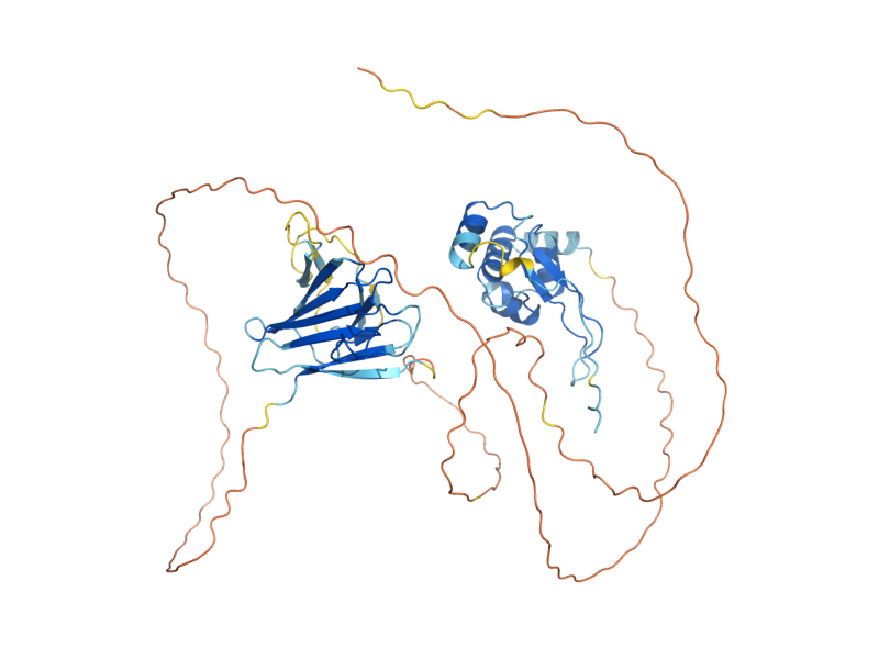 AlphaFold predicted structure of TOS4
