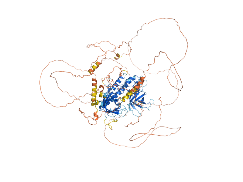 AlphaFold predicted structure of SKG3