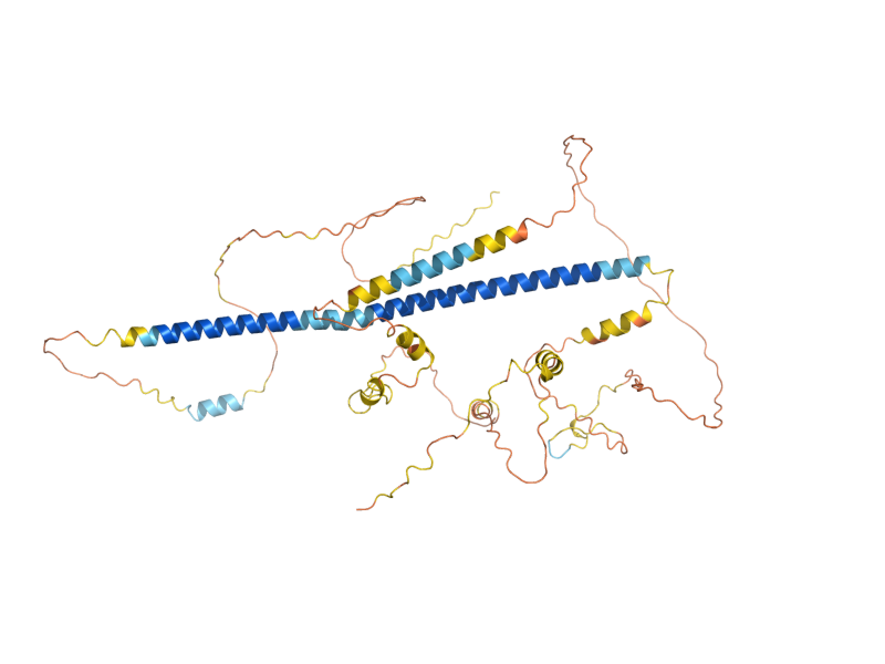 AlphaFold predicted structure of MMR1