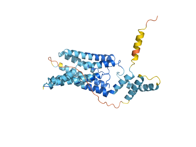 AlphaFold predicted structure of YPQ2