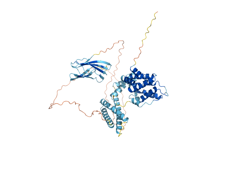 AlphaFold predicted structure of GGA1